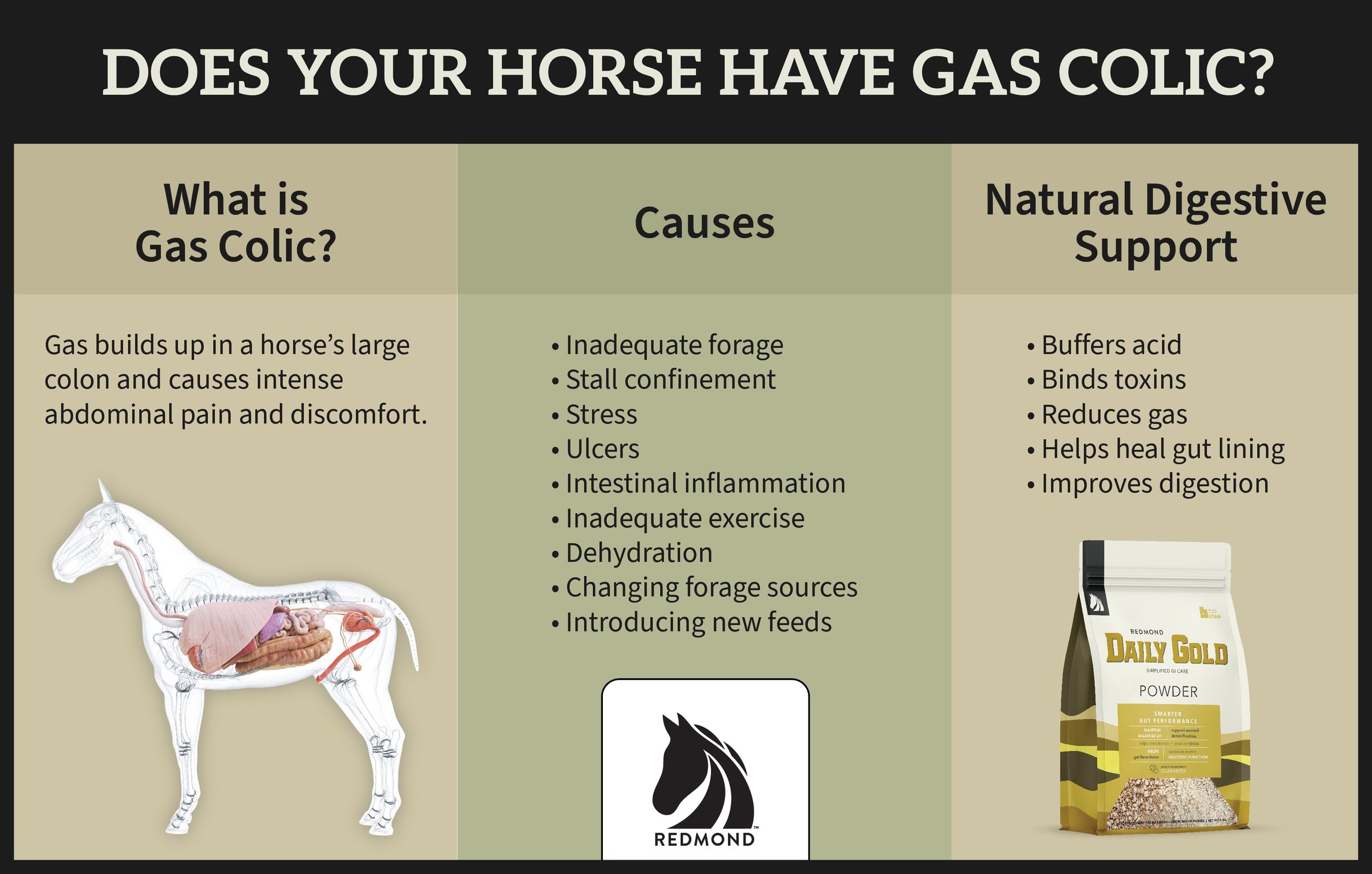 The Remedy for My Horse's Gas Colic A Redmond Story